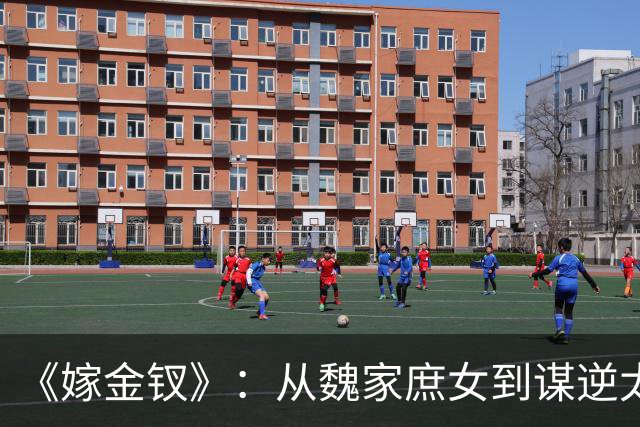 《嫁金钗》：从魏家庶女到谋逆太子妃，弃母亲郭虞凤、坑害妹妹魏婵，看到最后才懂，温柔恭敬的魏姝才是全剧终极狠人！