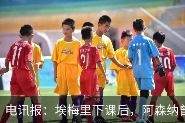 电讯报：埃梅里下课后，阿森纳曾认真考虑波切蒂诺接任
