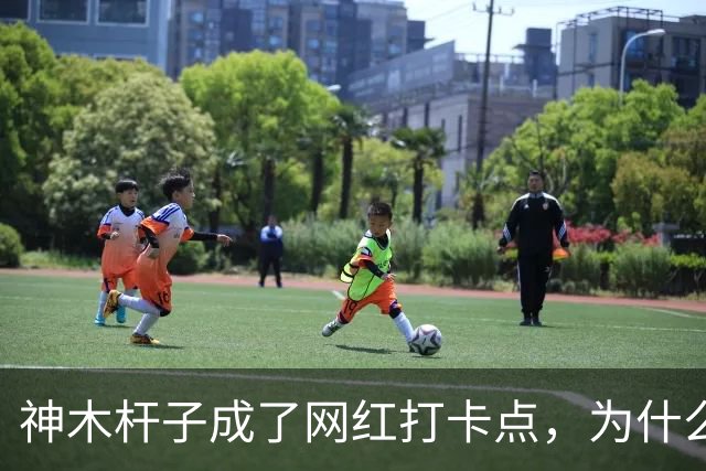 神木杆子成了网红打卡点，为什么要围起来？